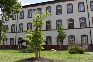 Tudomány fája az Eötvös József Főiskolán