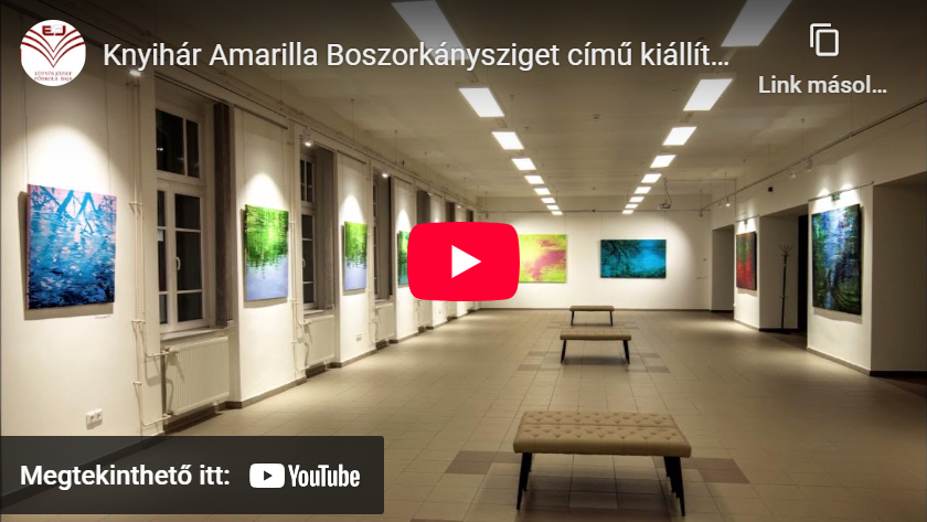 Youtube link