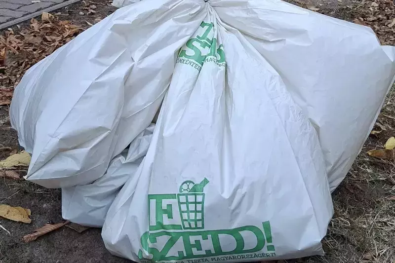 Szemétszedés az EJF-es csapattal