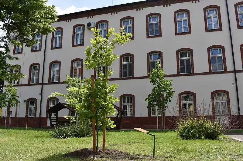 Tudomány fája az Eötvös József Főiskolán